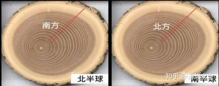 野外辨别方向的方法有哪些 北斗星
