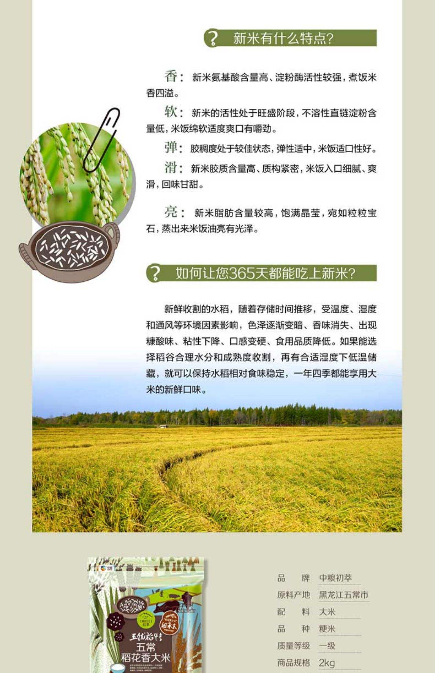 大米草的价值