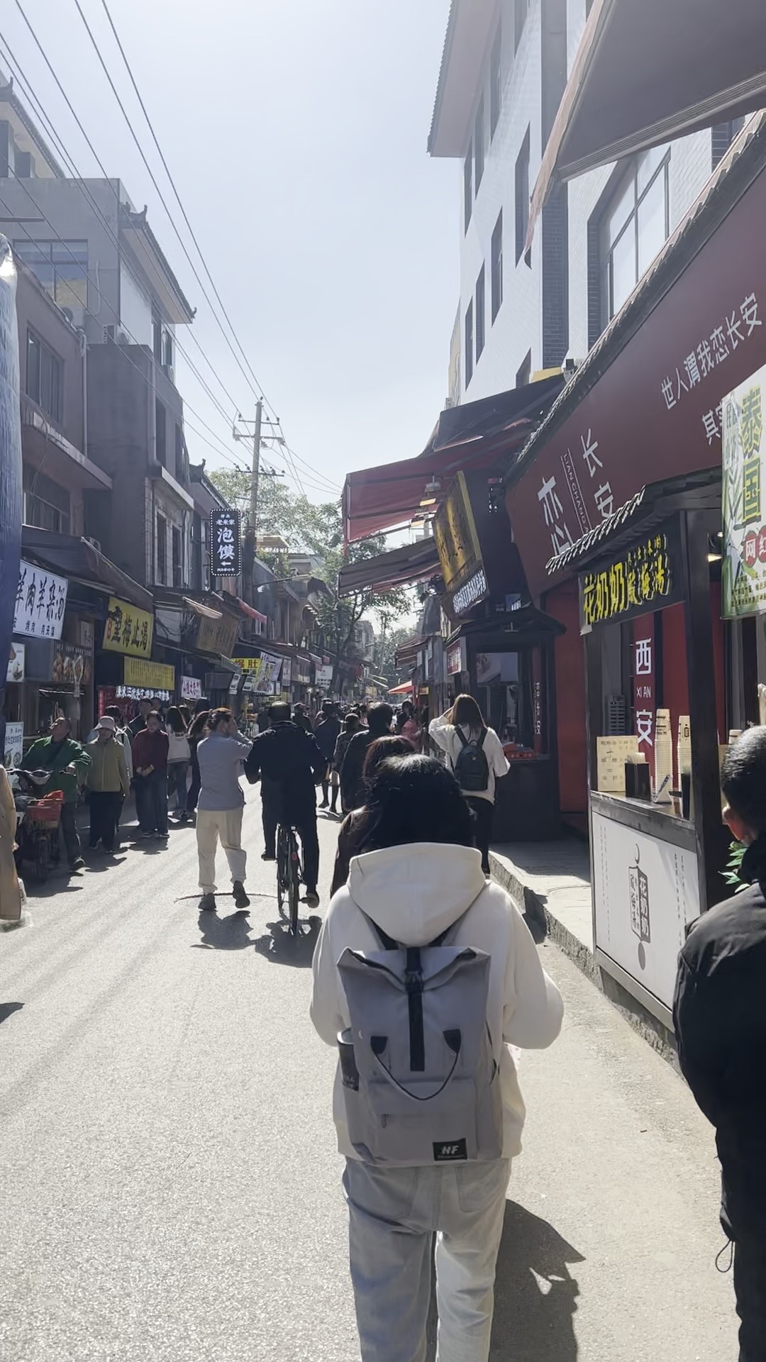 2025年9月19日 第81页