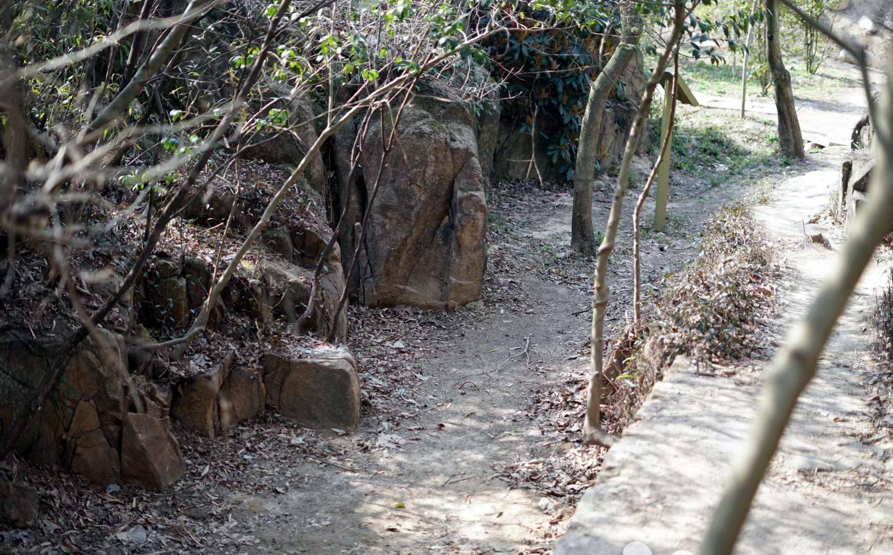 笔名寒山简介