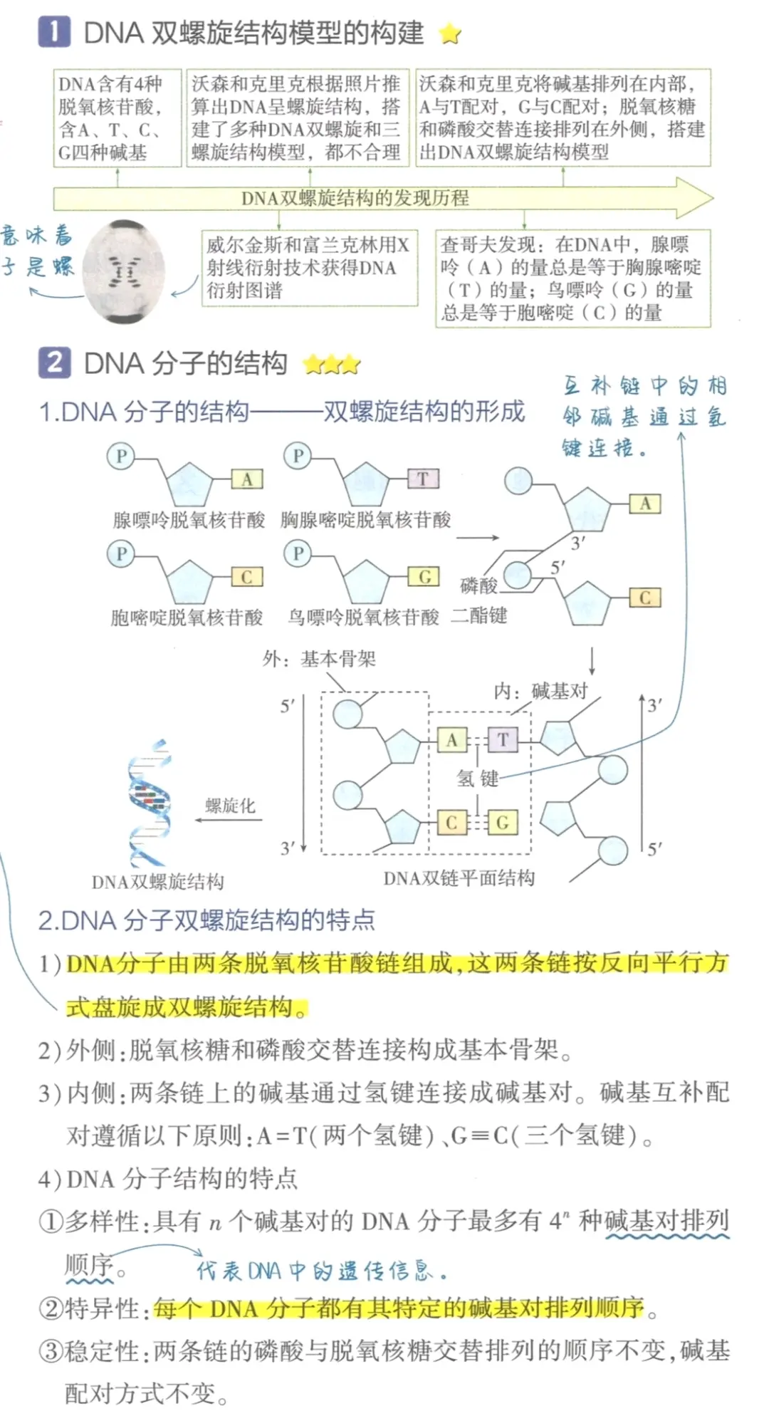 dna双螺旋结构是什么诞生的标志