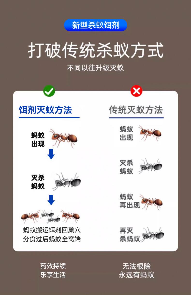 北方雅