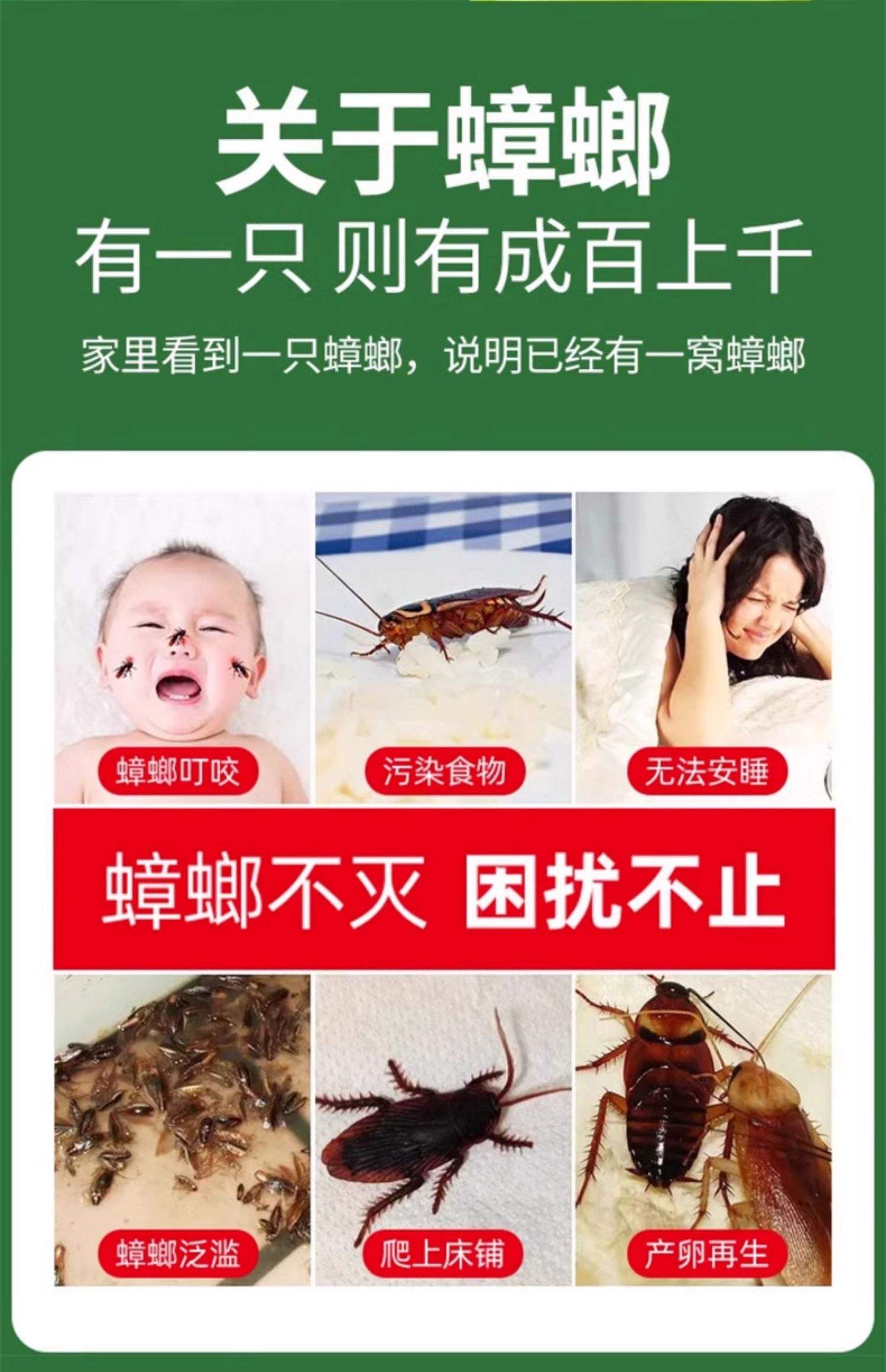 蟑螂吃洗衣液吗
