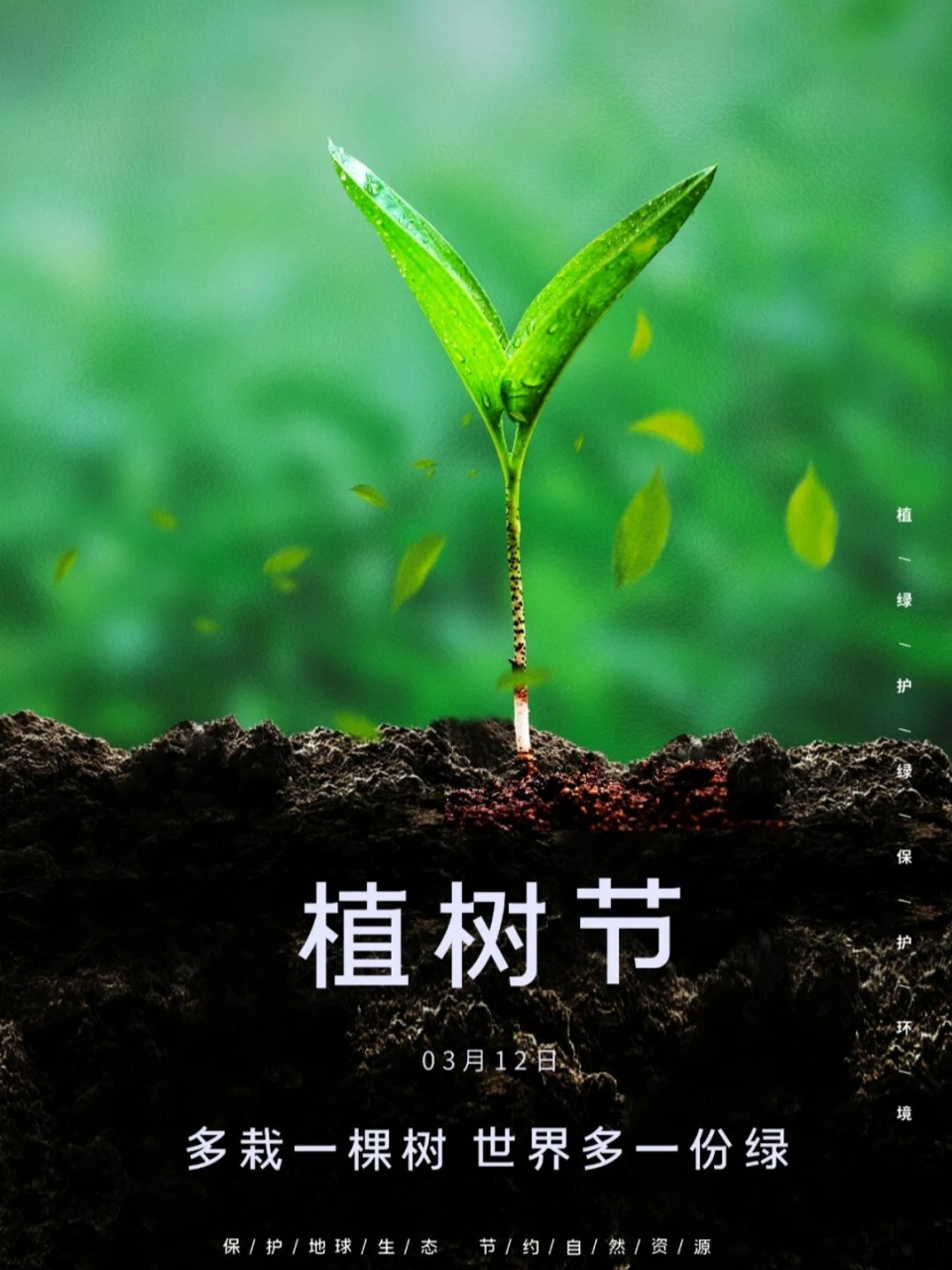中国每年的植树节是几月几号