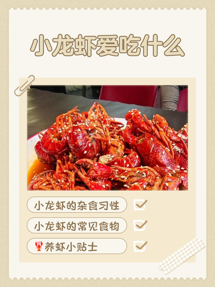 吃小龙虾是吃哪个部位