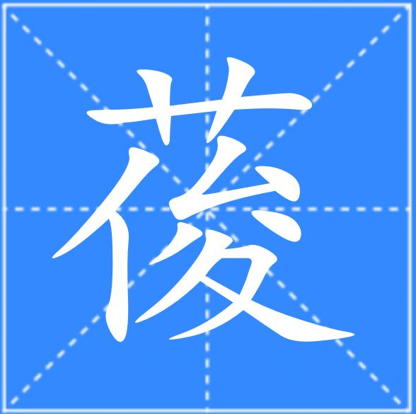荽怎么读音
