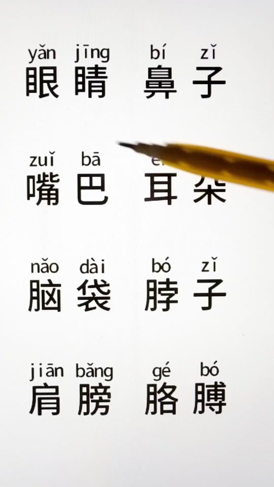蜘蛛拼音怎样写