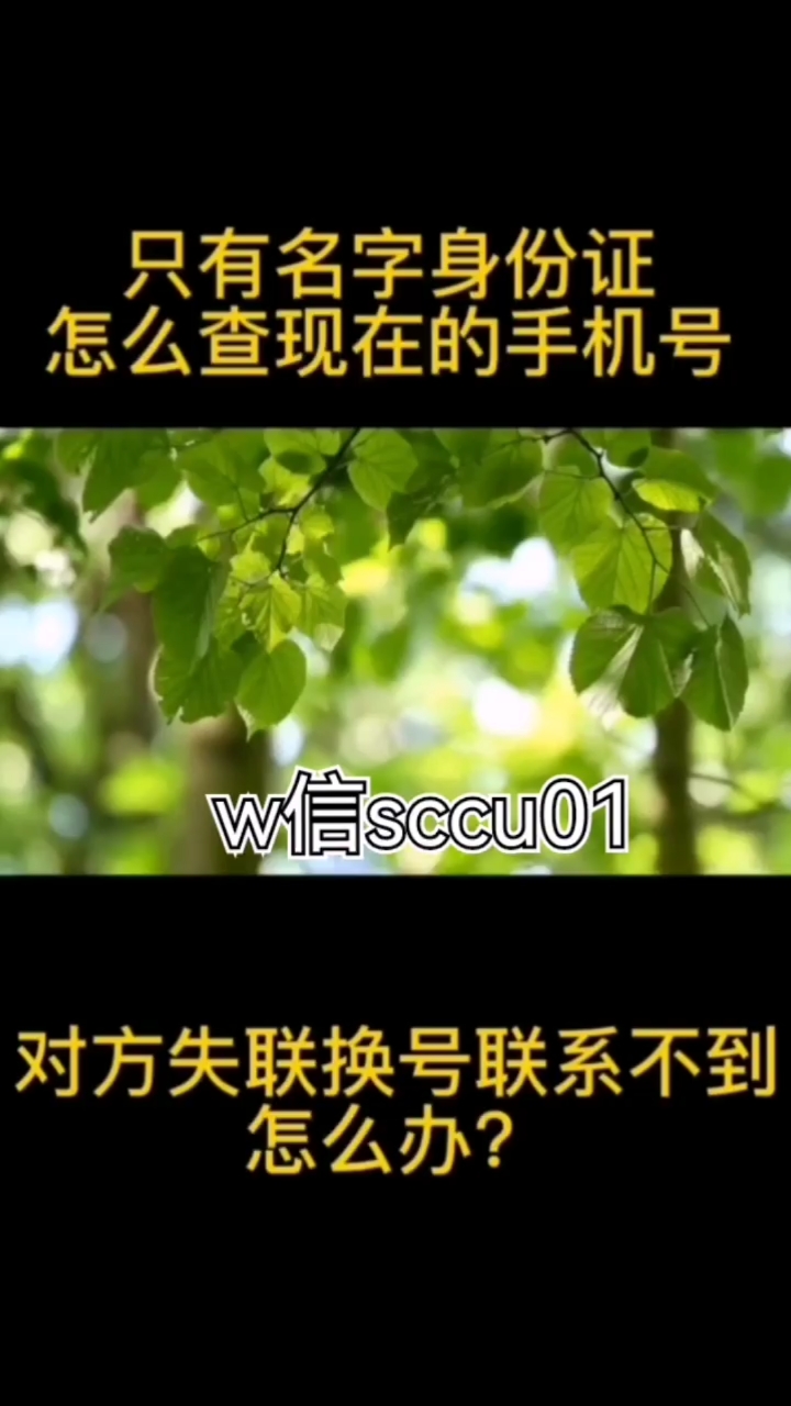 查电话号码归属地和户主名字