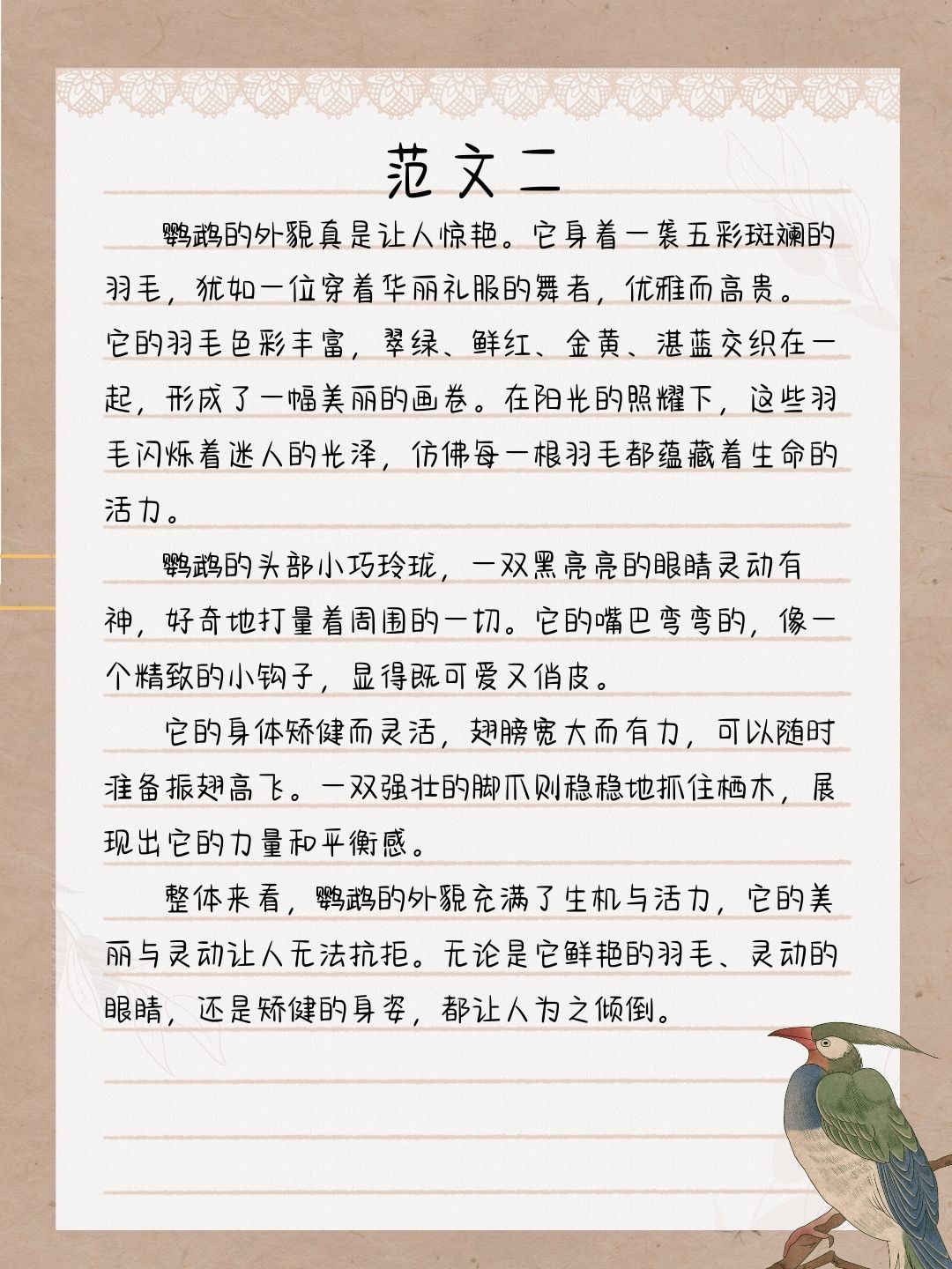 描写鹦鹉的作文二年级150字