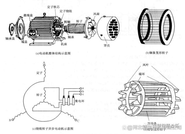 电动机的工作原理初三是什么