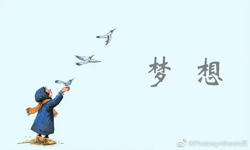 关于梦想的成语故事