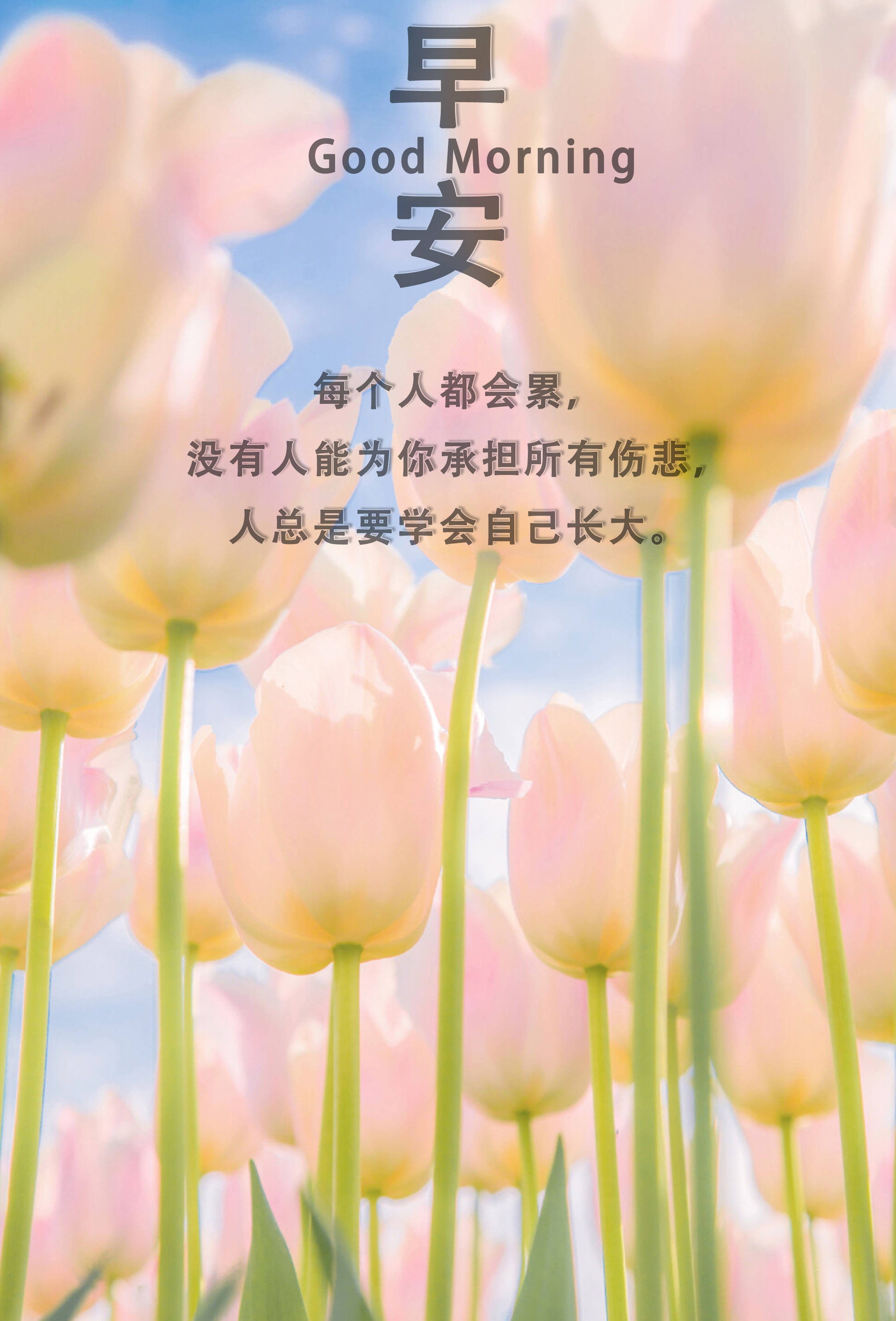 说说至生活