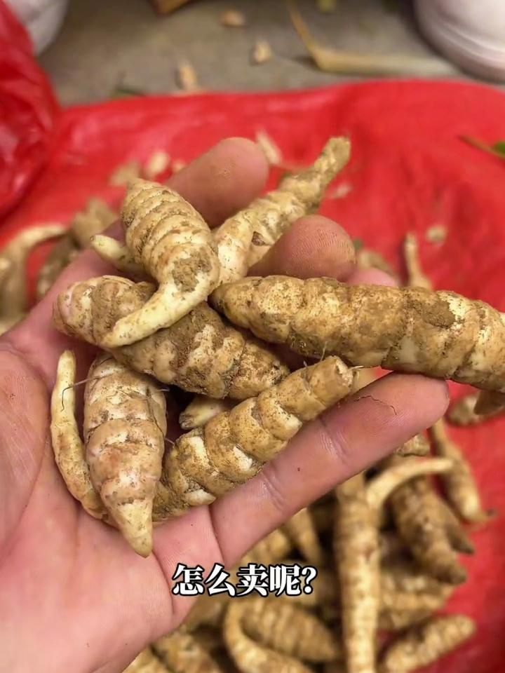 云南地参的吃法和功效