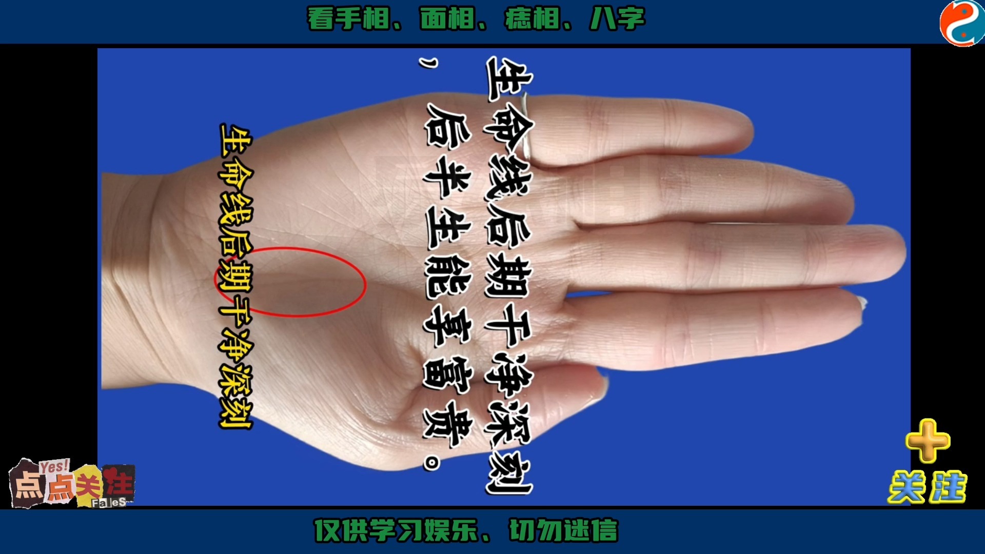 掌纹多而乱代表什么寓意