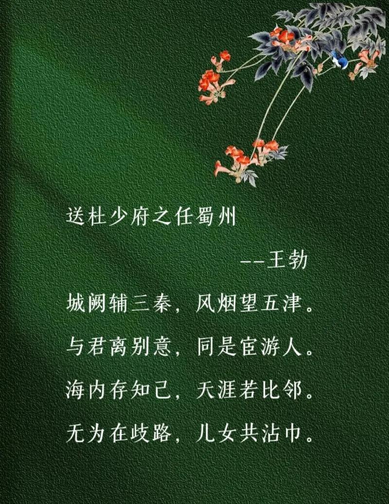 海内存知己天涯若比邻的意思是啥