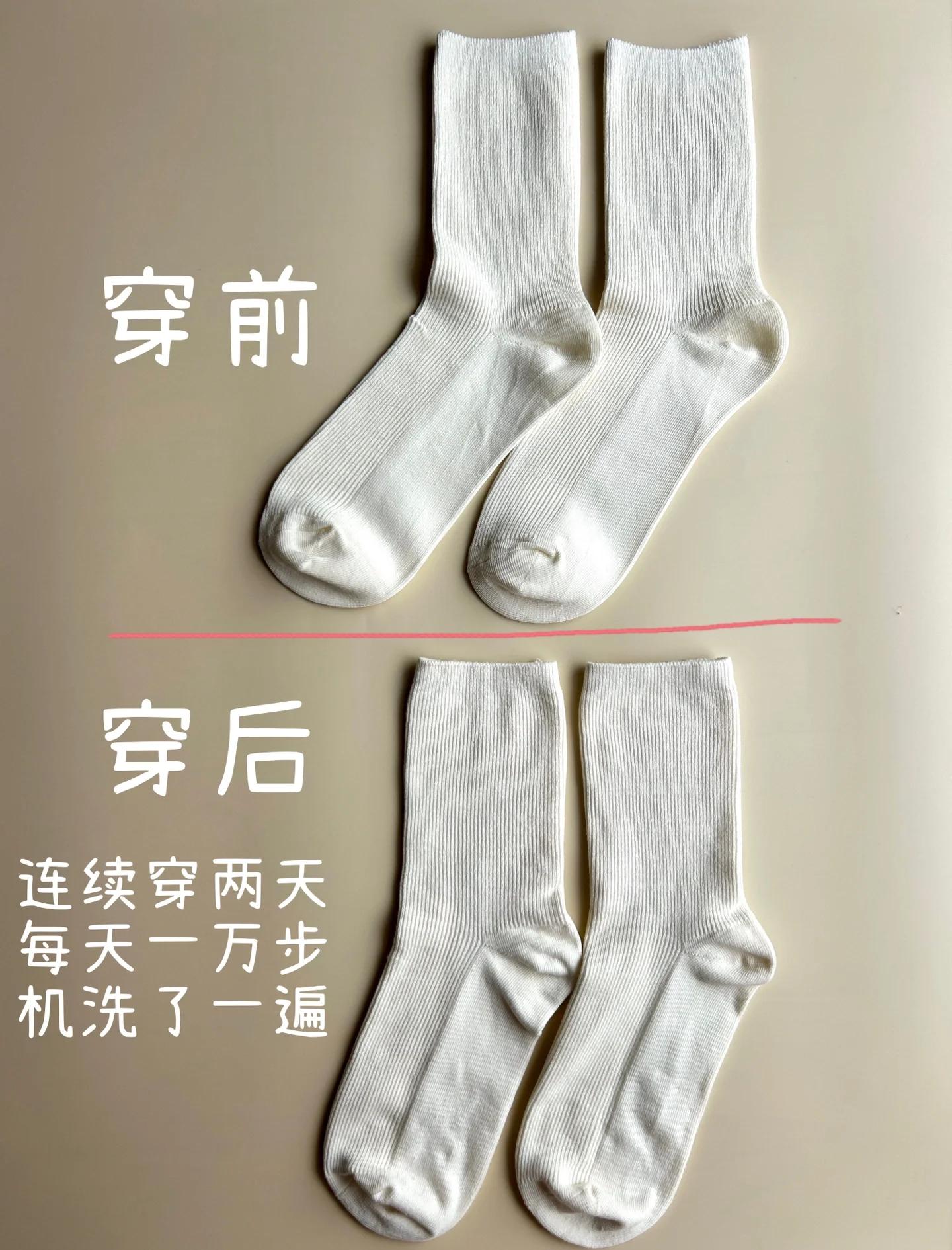 chan能组什么词