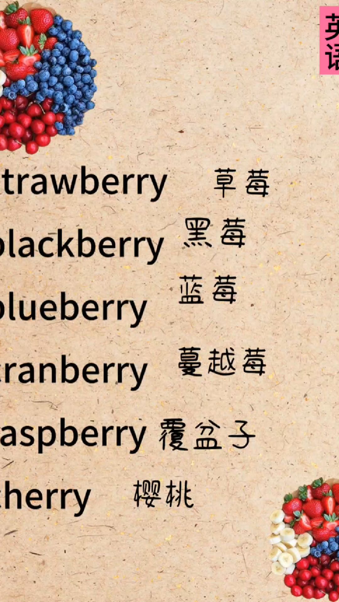 樱桃用英语咋说