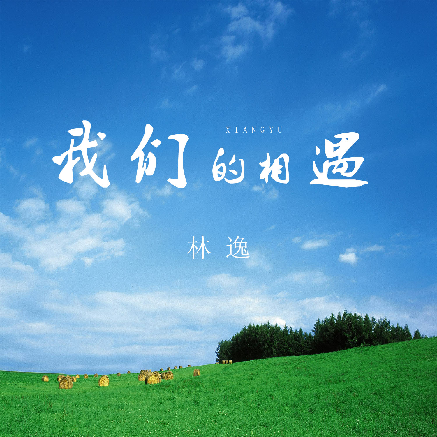 最美的相遇歌词表达什么意思