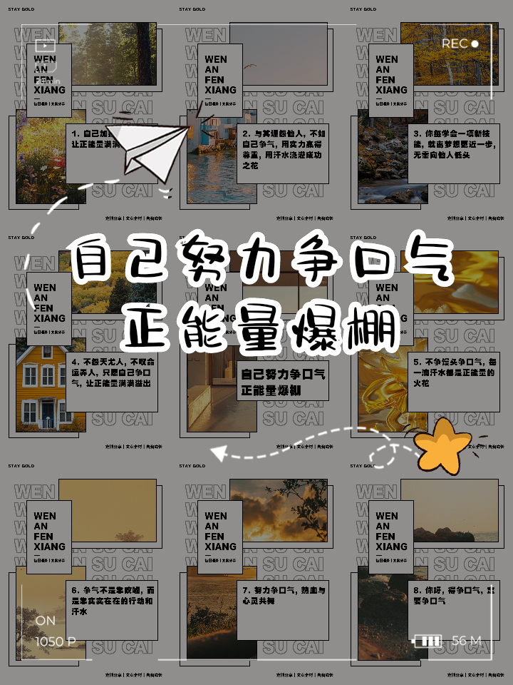 正能量关于争气的句子有哪些