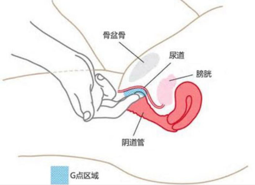 a与c谁更高
