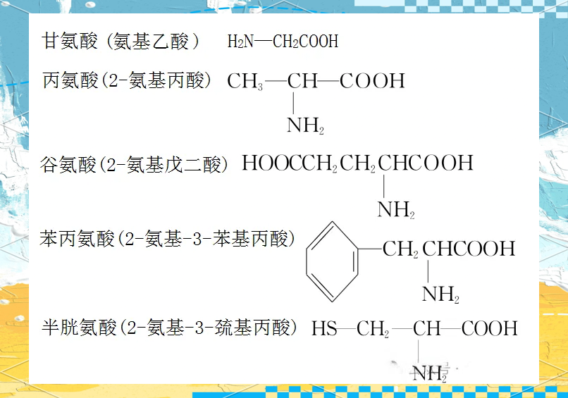 苯的化学性质教案