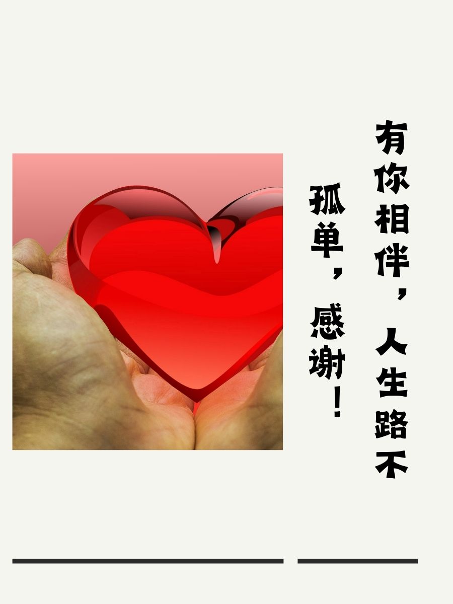 感恩遇见感谢有你的句子说说