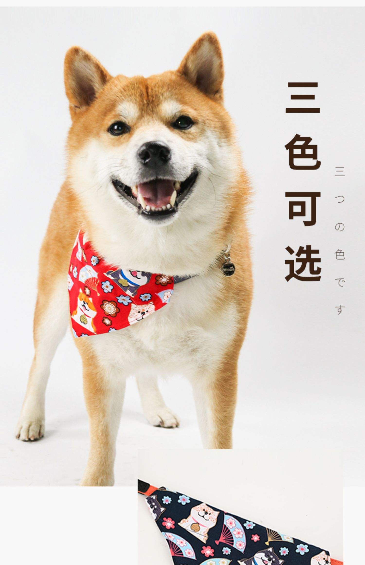 狗狗的必备日用品大全