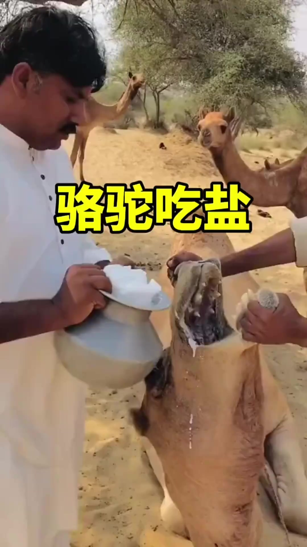人一直不吃盐会怎么样