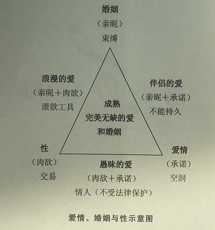 柏拉图是什么意思