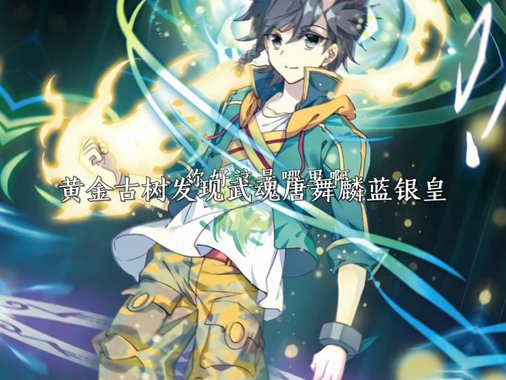 唐舞麟有多少个武魂