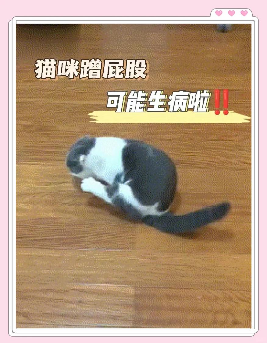 畅德佑