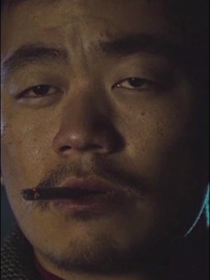 树先生说的是什么意思