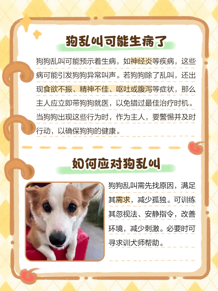 梦见一群小狗玩耍是什么意思