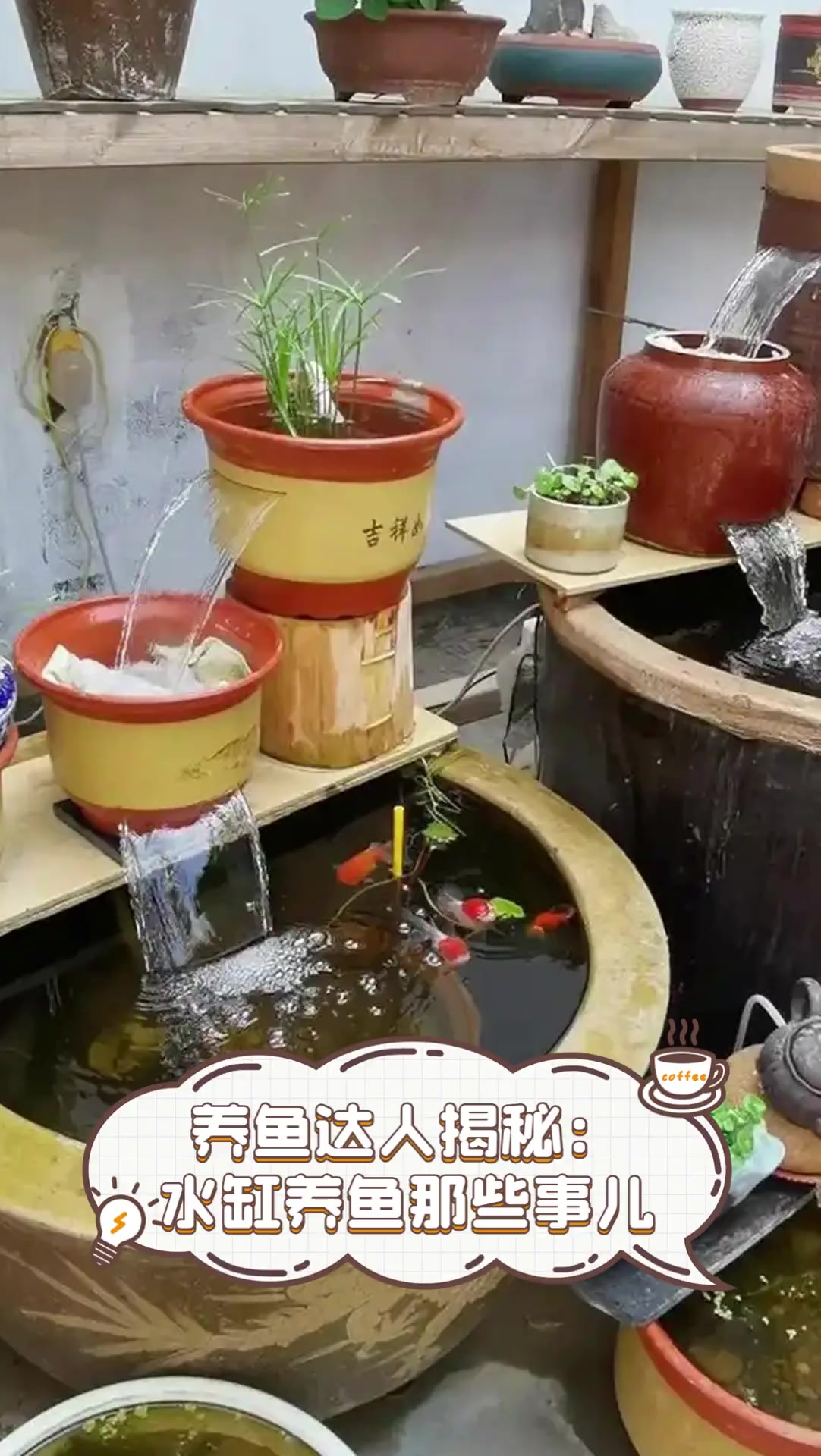 圆柱形玻璃鱼缸怎么养鱼
