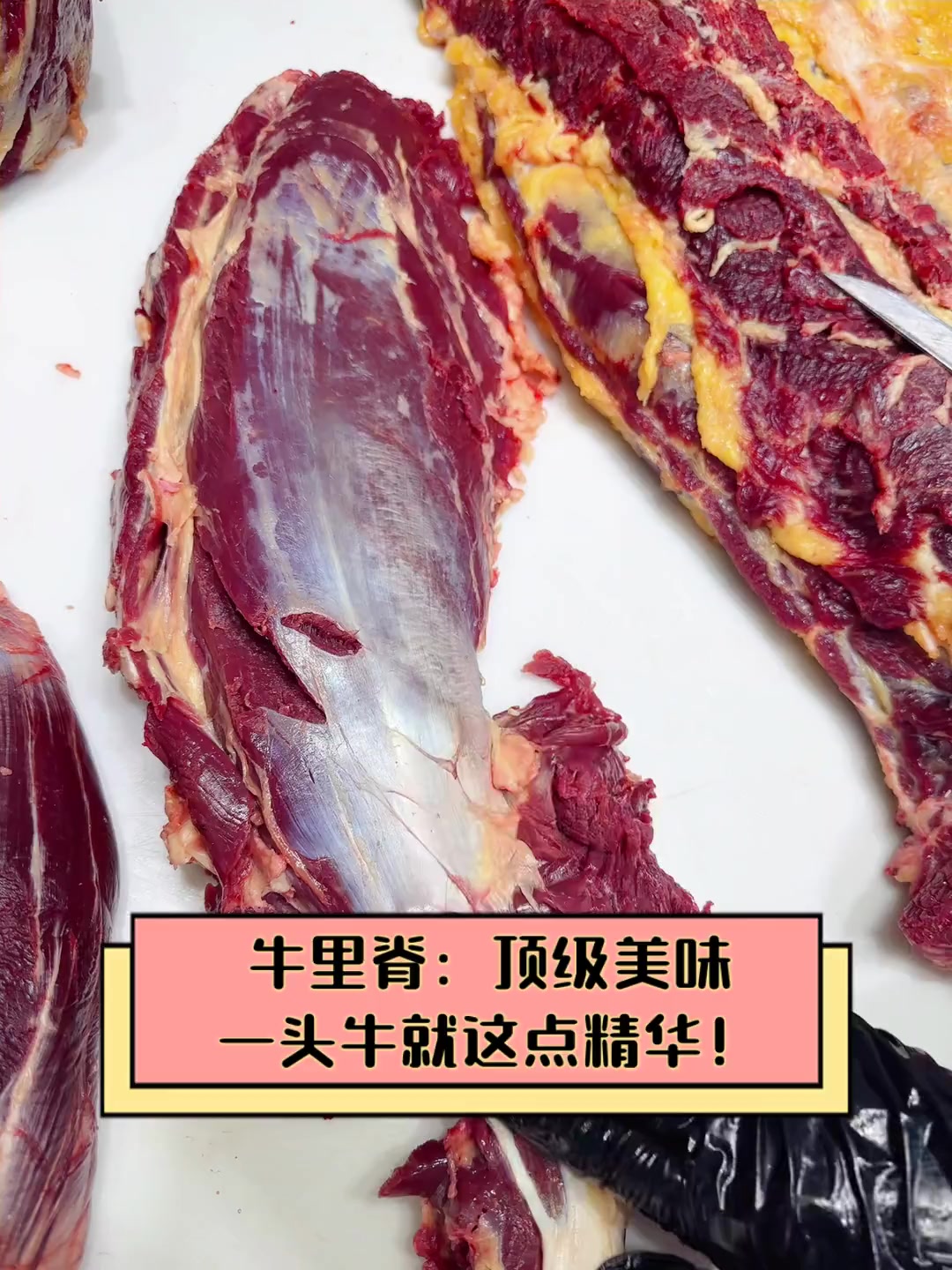 牛肉里脊肉是哪个部位视频讲解
