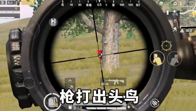 枪打出头鸟意思