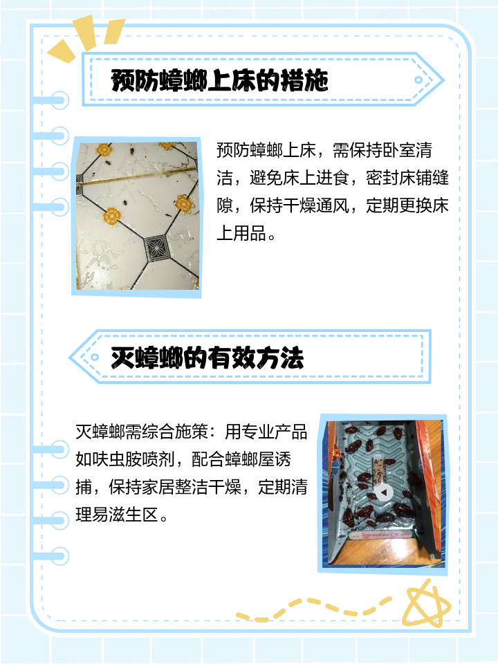 寝室有蟑螂怎么消灭,有蟑螂在床上