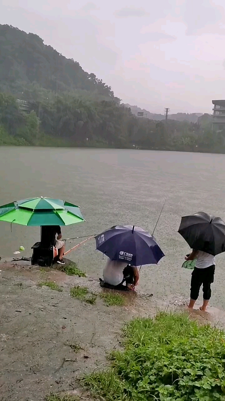 下雨天钓鱼是不是好钓一点
