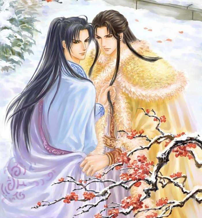 病弱美人生子