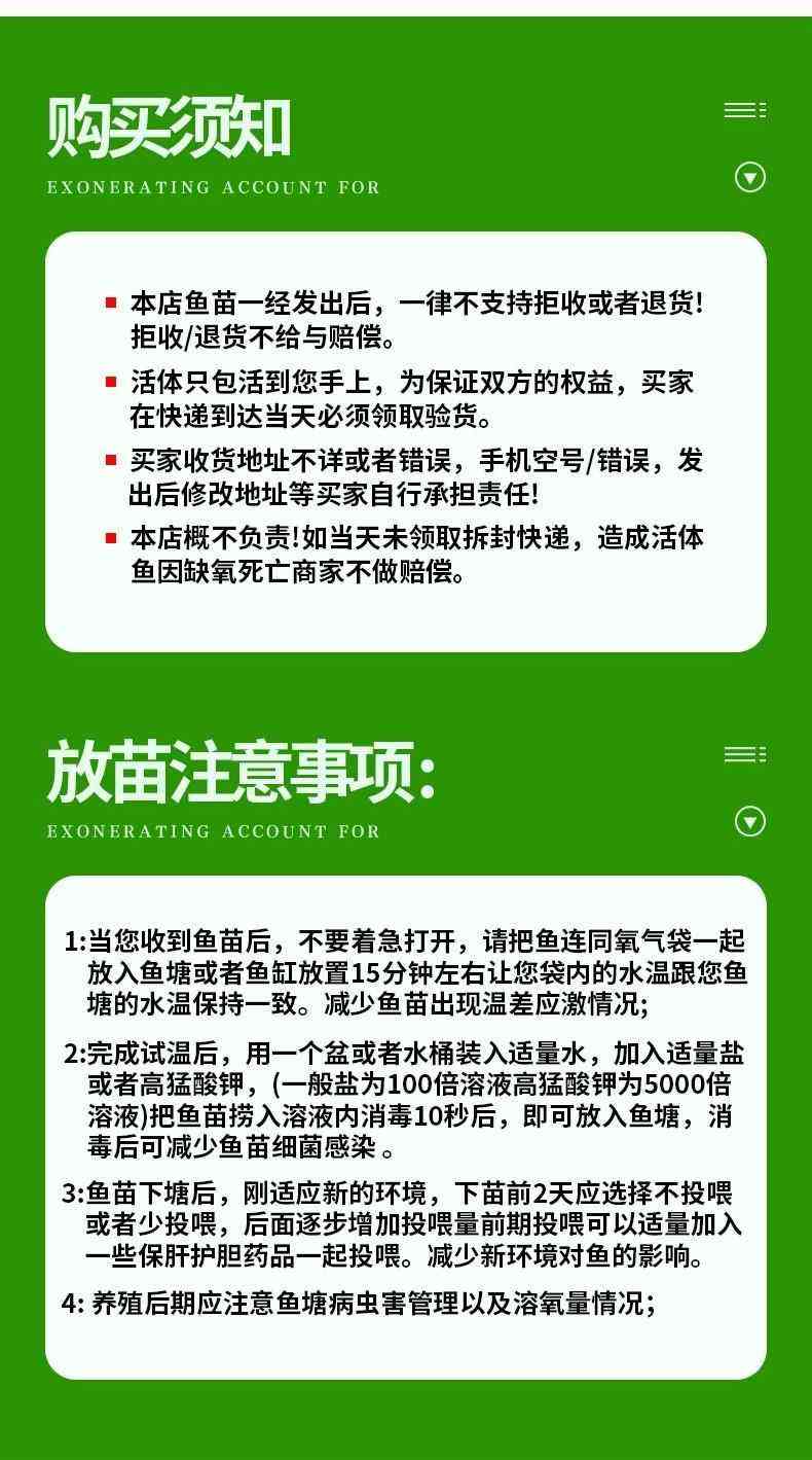 鲟鱼的养殖方法和注意事项