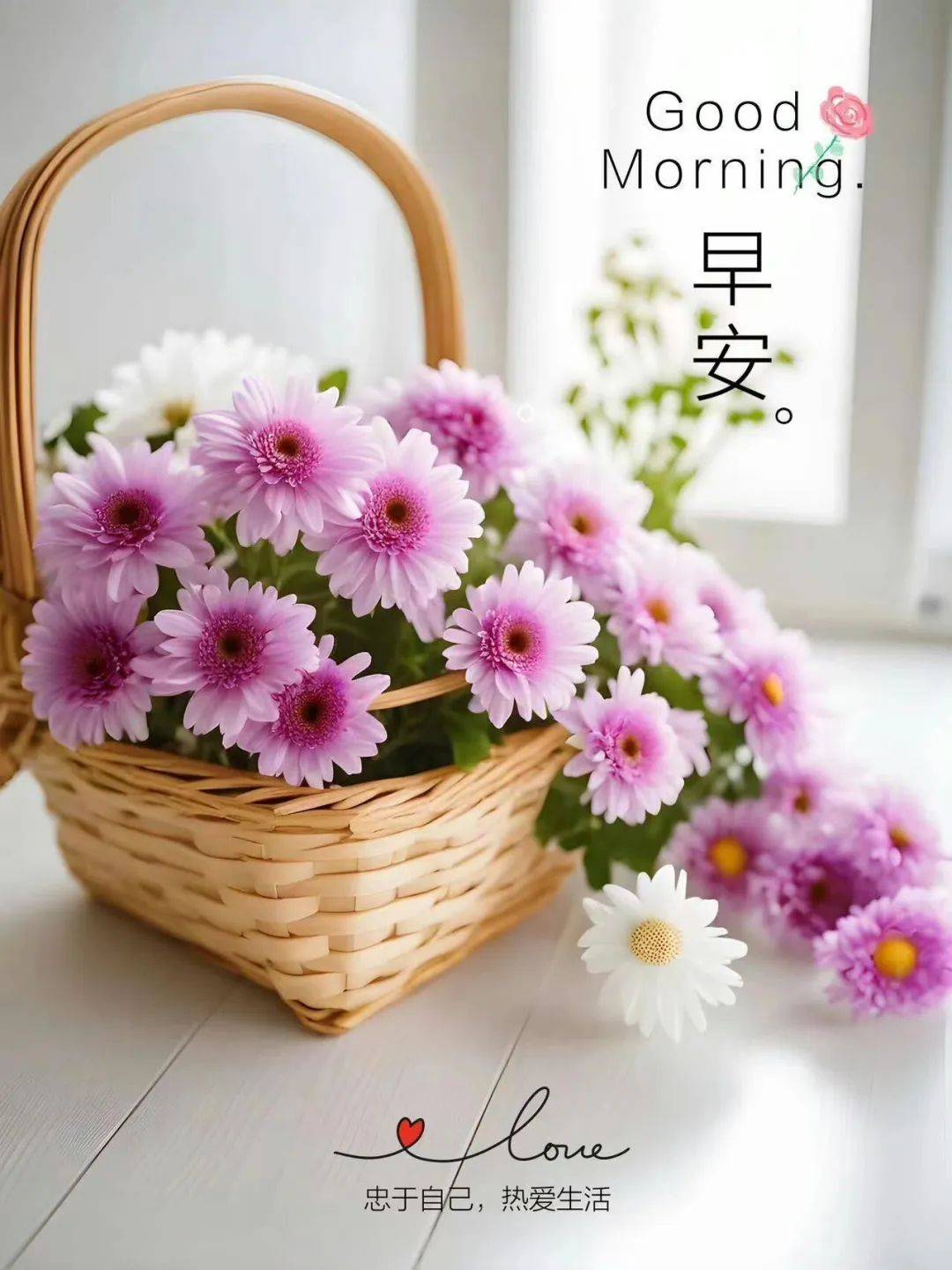 morning什么意思英文