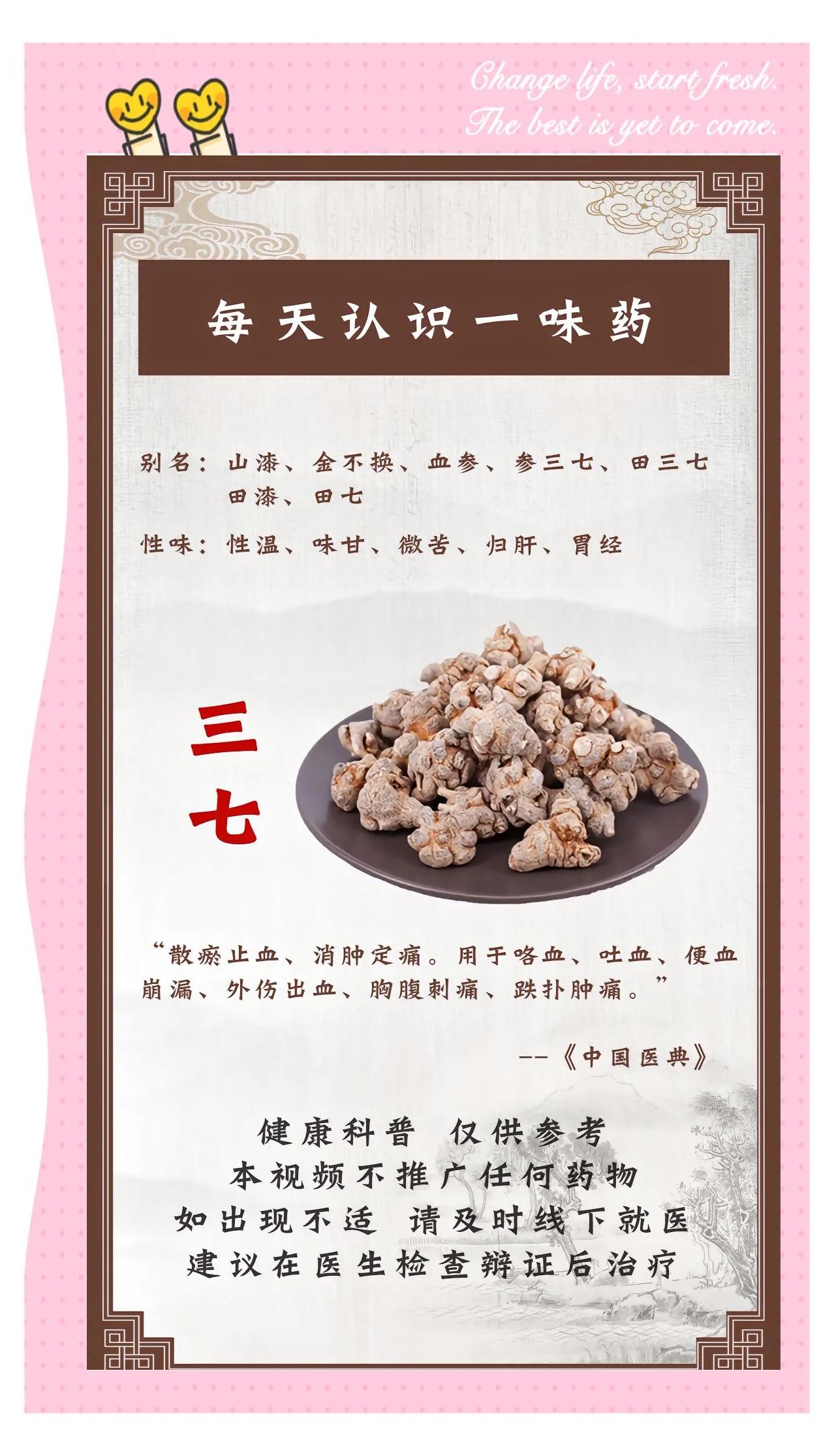 三七茶的功效和作用及食用方法禁忌
