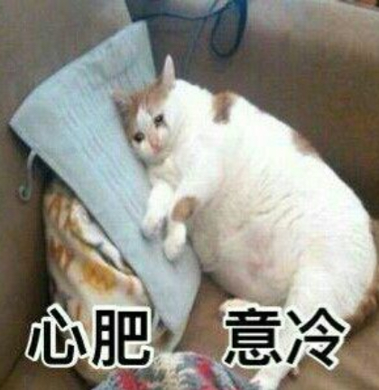 完蛋的英文是什么