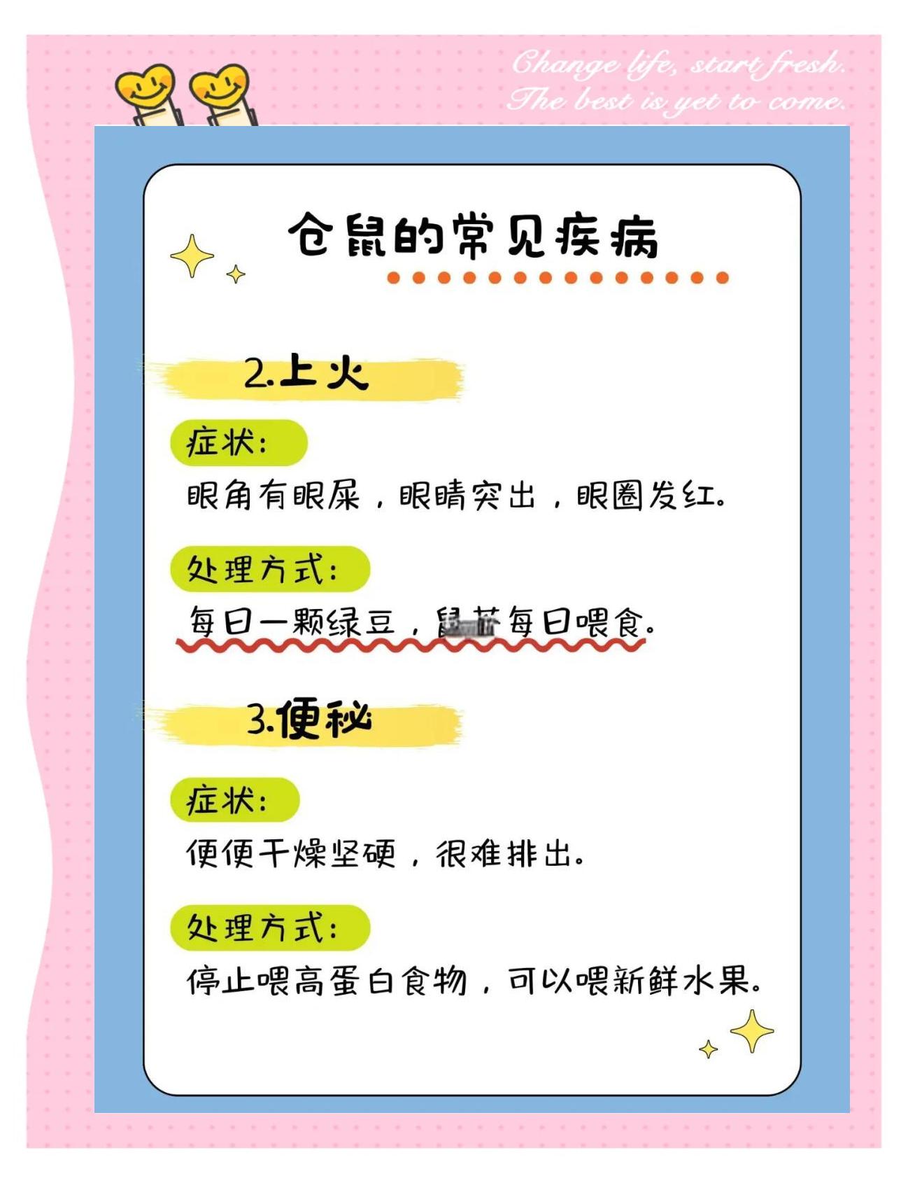 养仓鼠人会得鼠疫吗