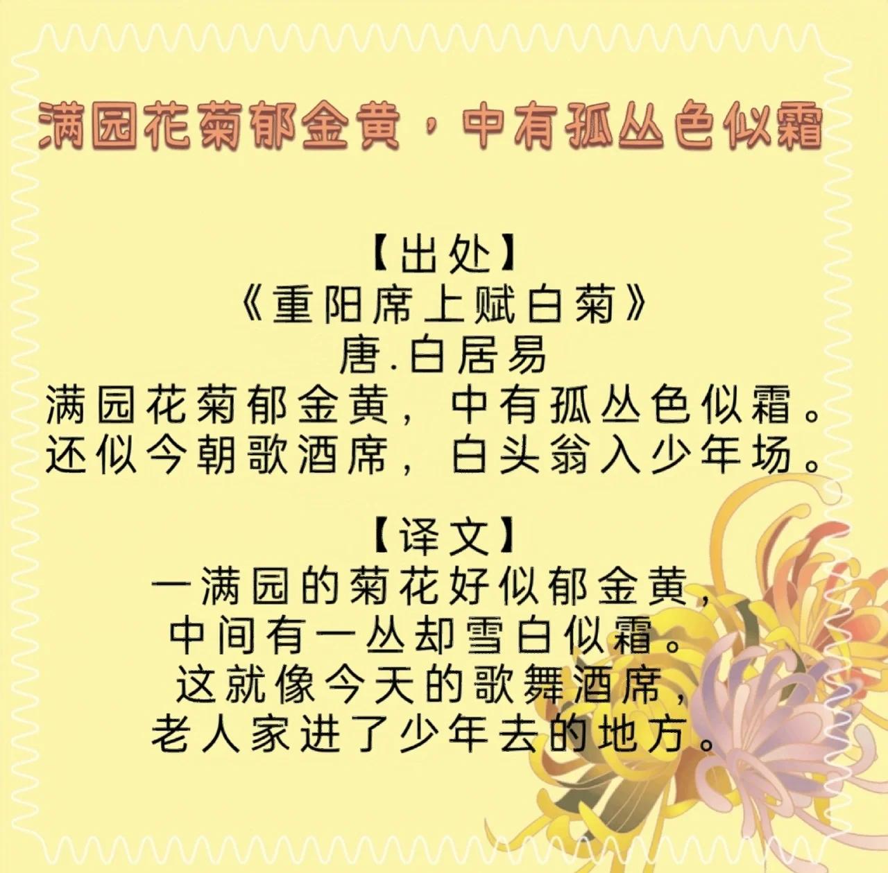 代表菊花的诗句古诗