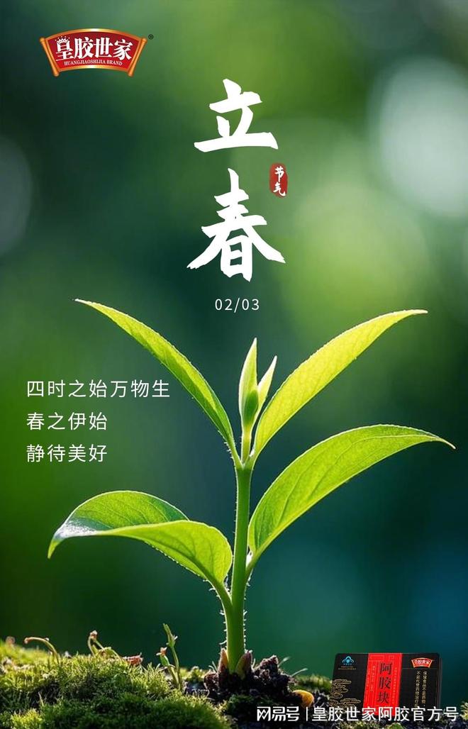 春天的节气分别在什么时候