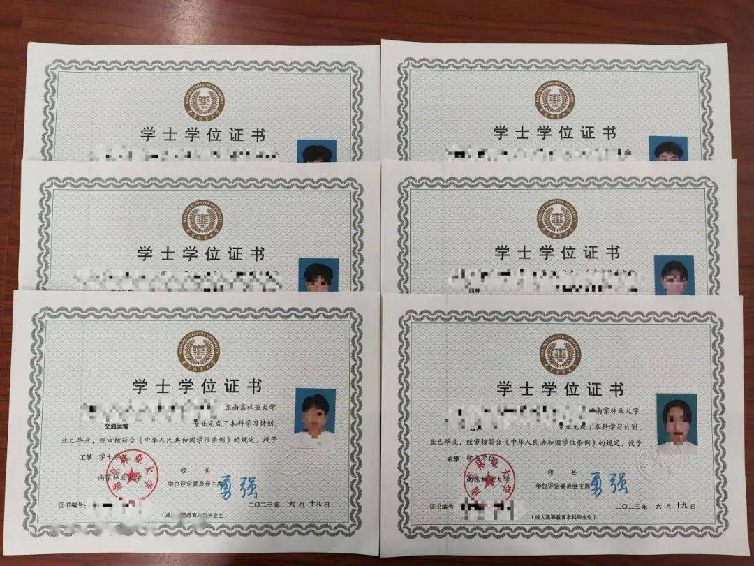 专科也有学位吗