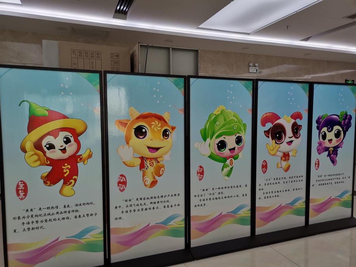 宁夏五宝是哪五宝?