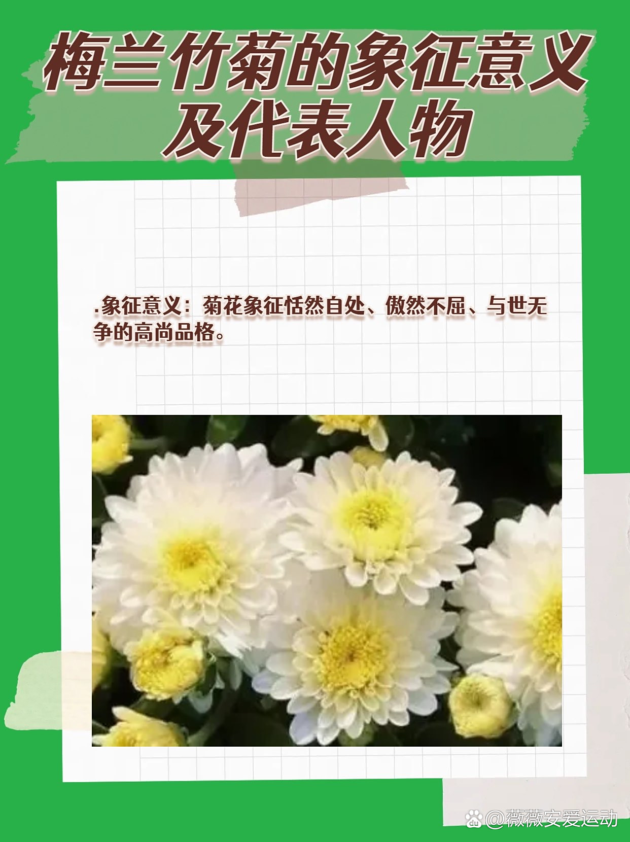 梅兰竹菊象征着什么意思