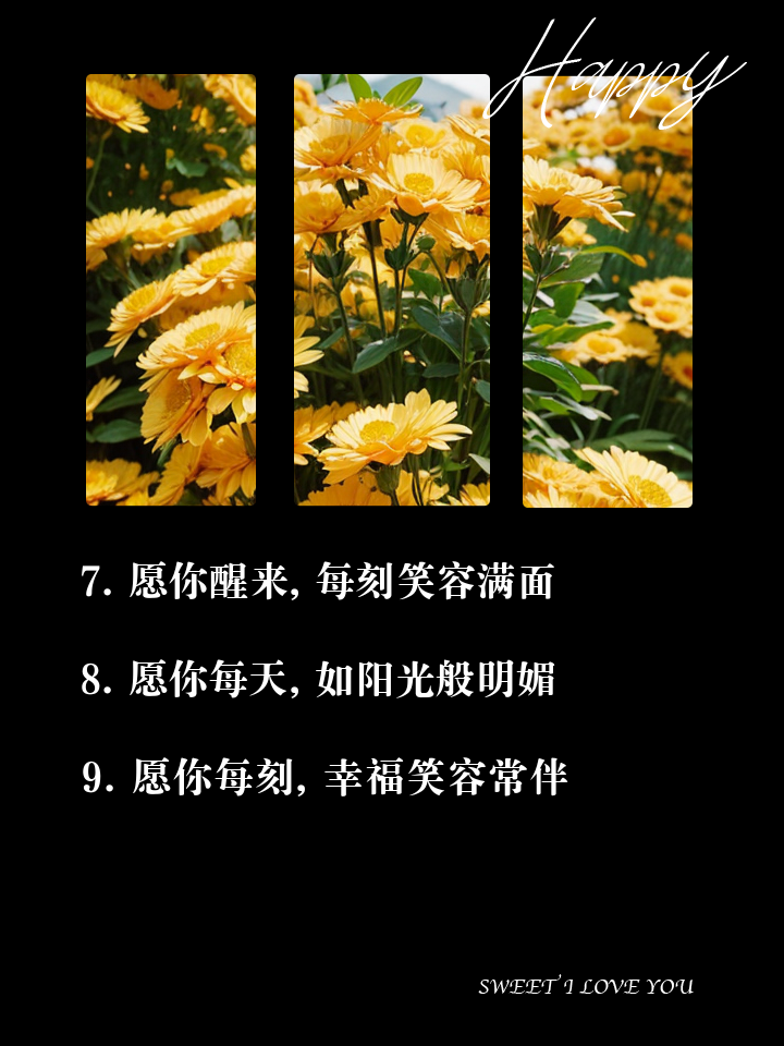 关于笑容灿烂的句子